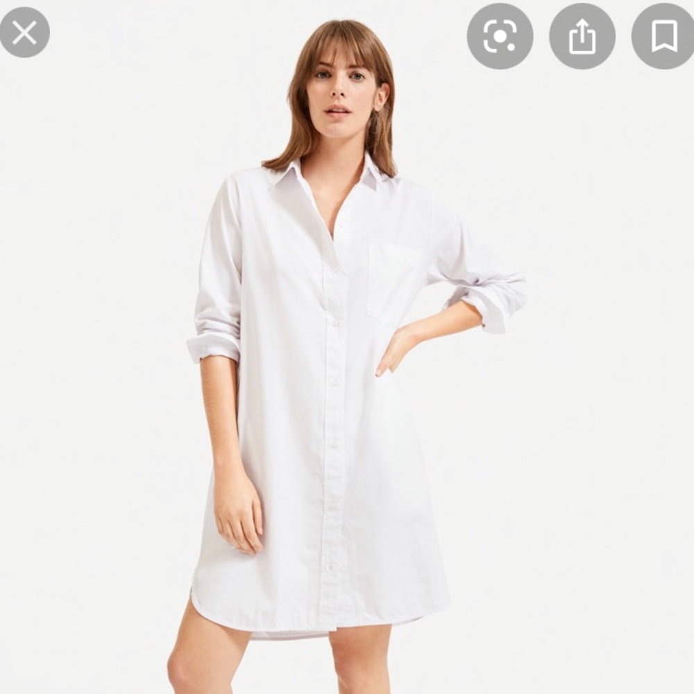 Everlane cotton shirt dress